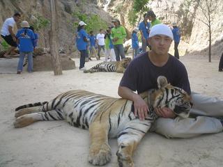 �^�C�K�[�e���v���ŌՂƋL�O�B�e