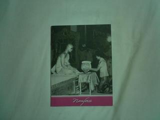 �^�C�K�[�E�e���v���̃p���t���b�g